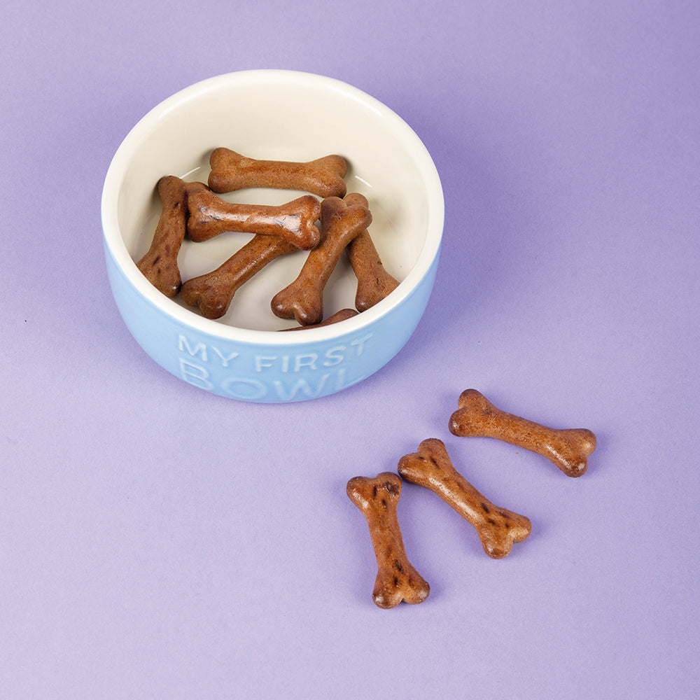 Scruffs® My First Bowl 13cm - Blue