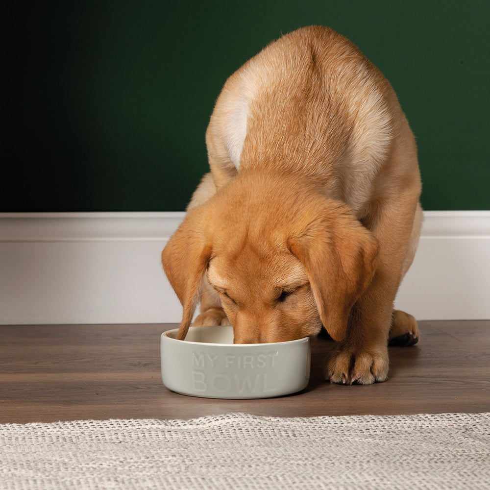 Scruffs® My First Bowl 13cm - Grey