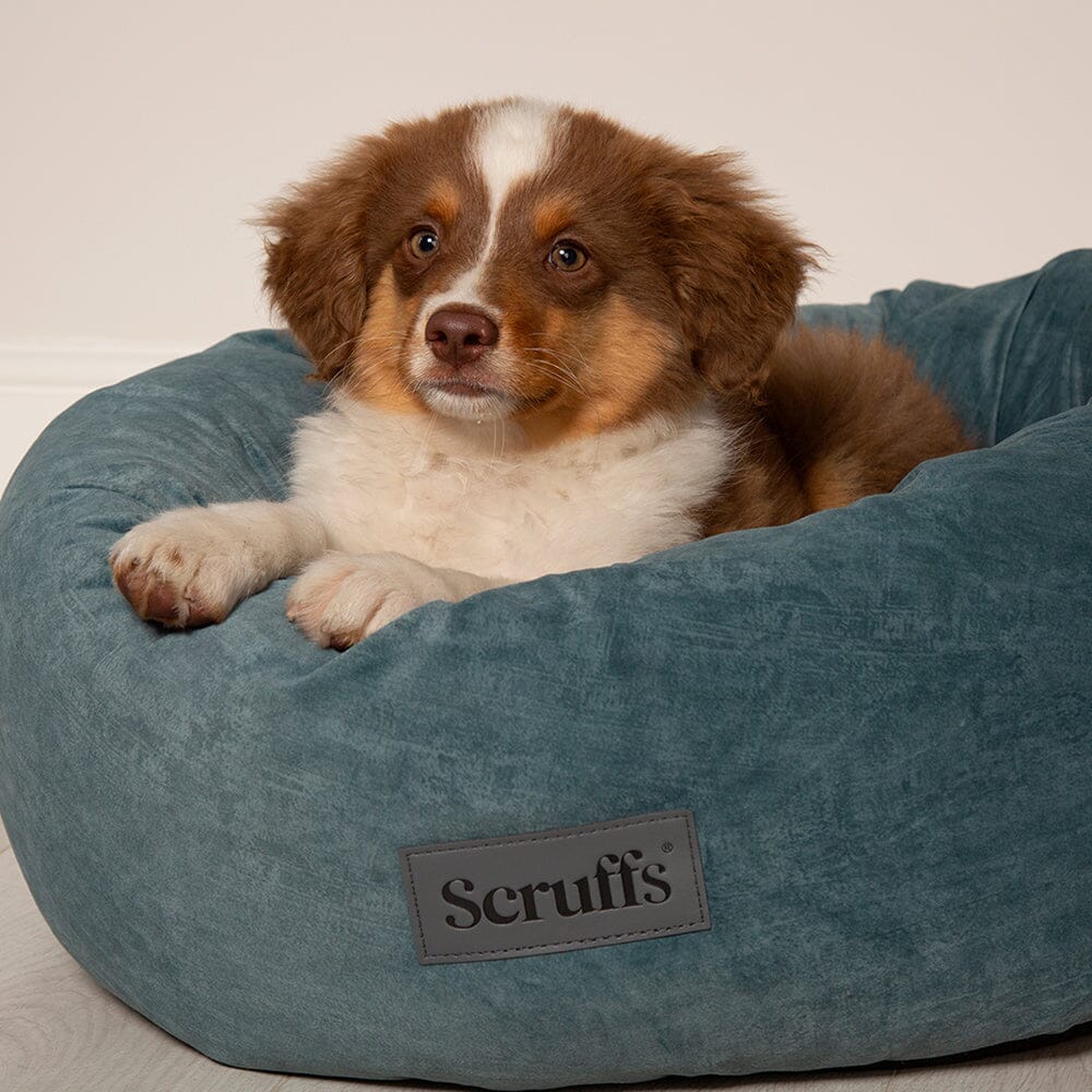 Scruffs Oslo Ring Bed - Lake Teal