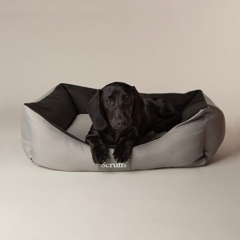 Scruffs Expedition Box Bed - Storm Grey