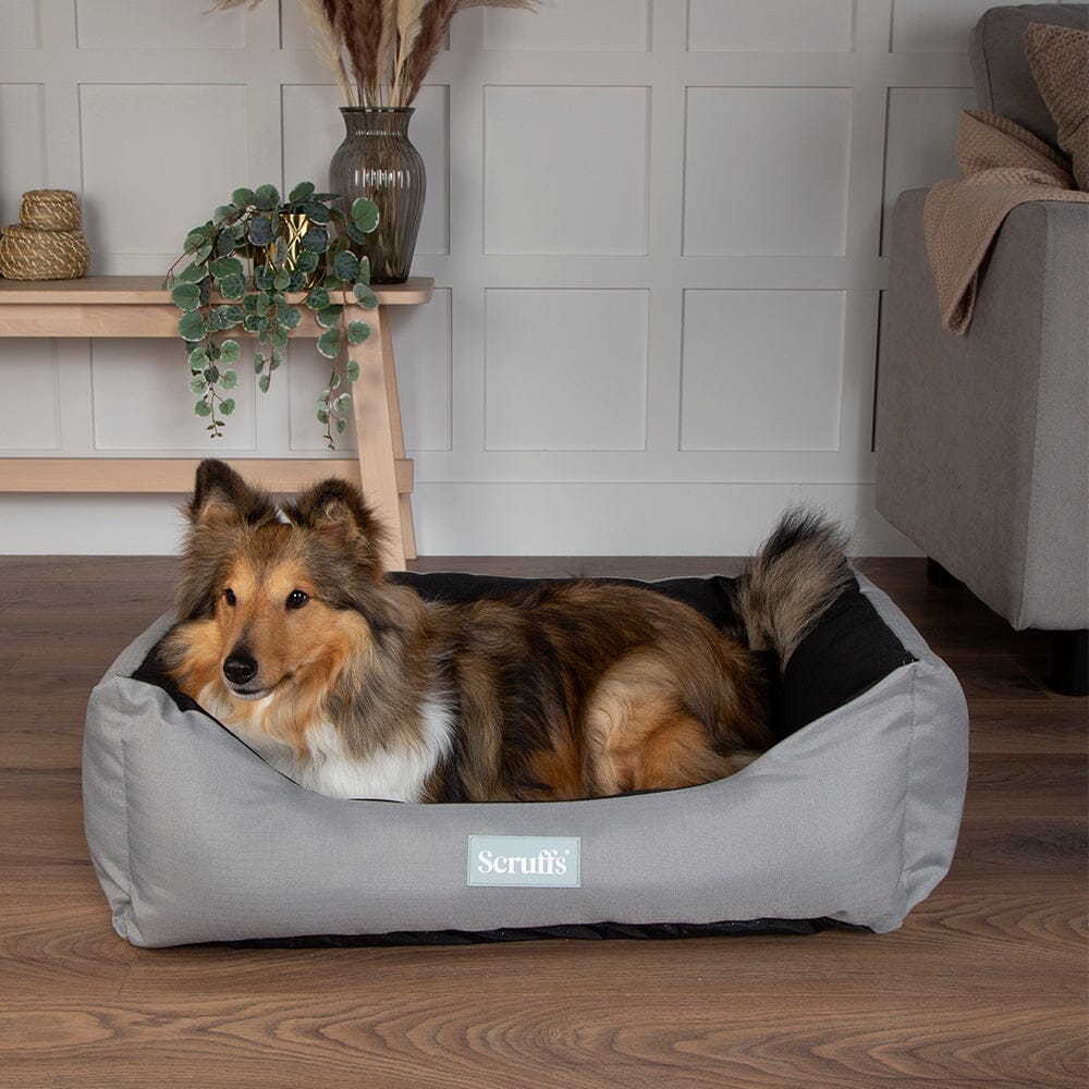 Scruffs Expedition Box Bed - Storm Grey