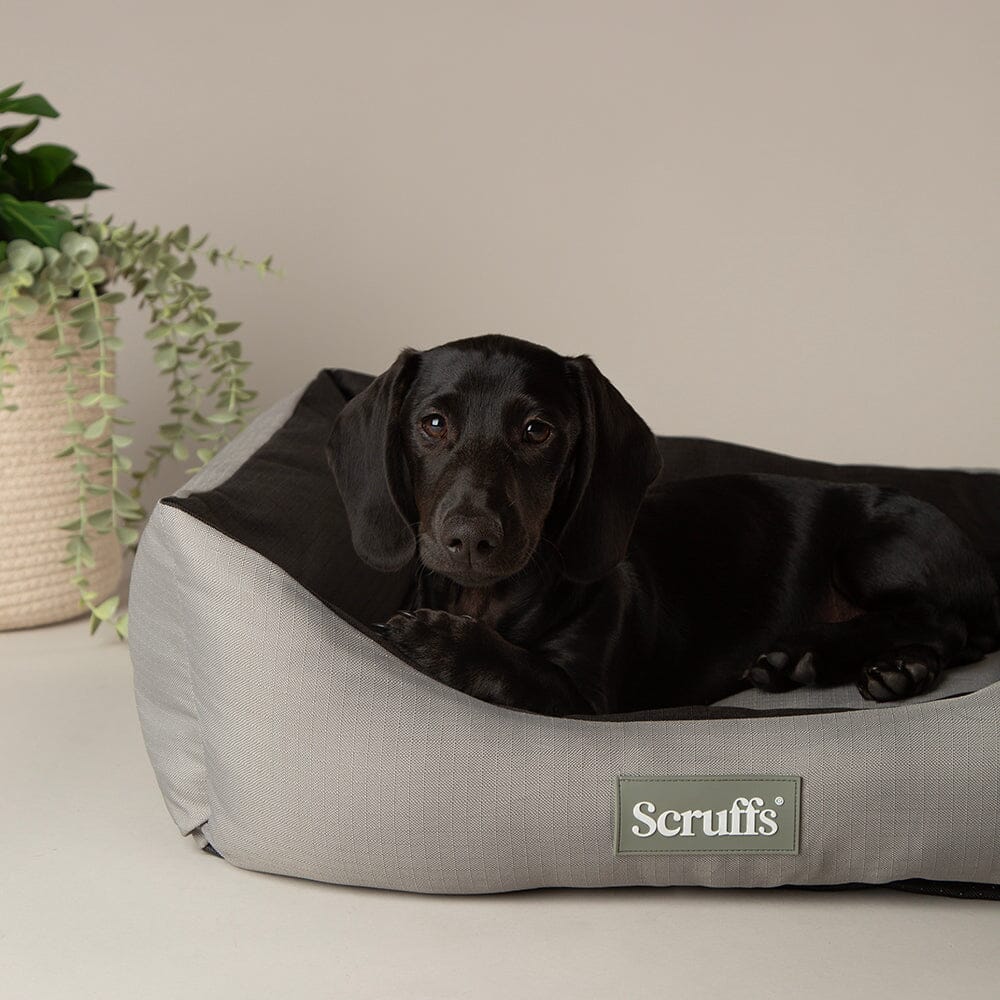 Scruffs Expedition Box Bed - Storm Grey