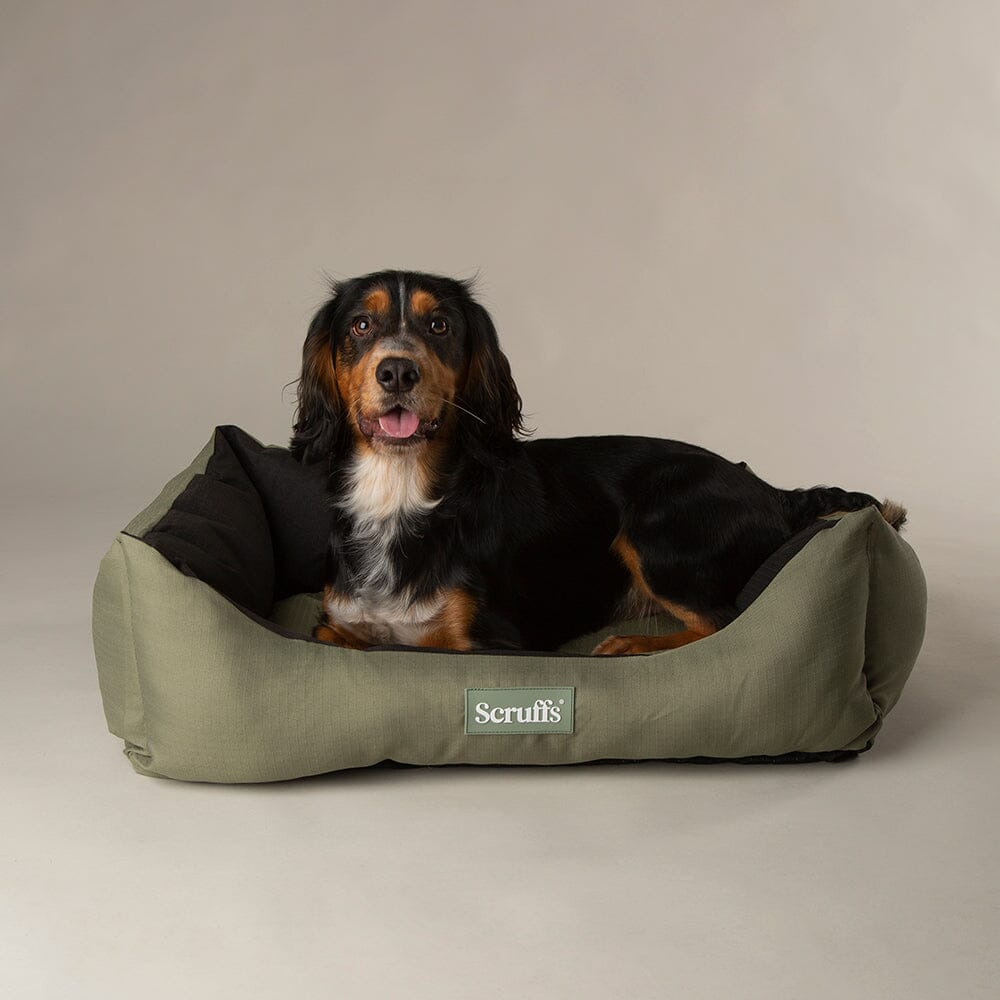 Scruffs Expedition Box Bed - Khaki Green