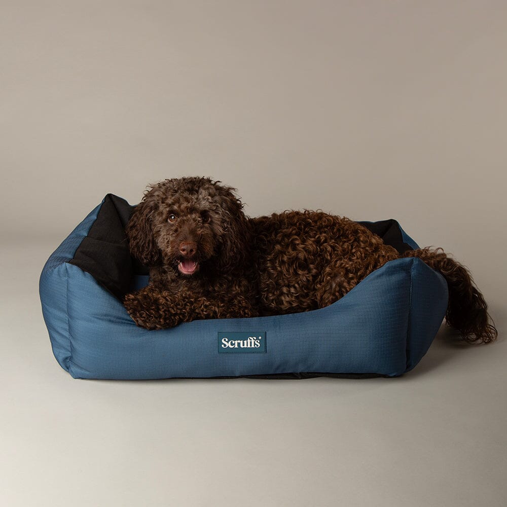 Scruffs Expedition Box Bed - Atlantic Blue