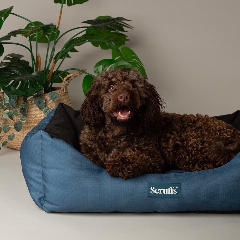 Scruffs Expedition Box Bed - Atlantic Blue