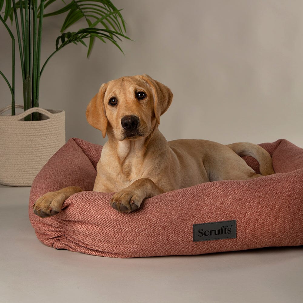 Scruffs Seattle Box Bed - Coral Pink