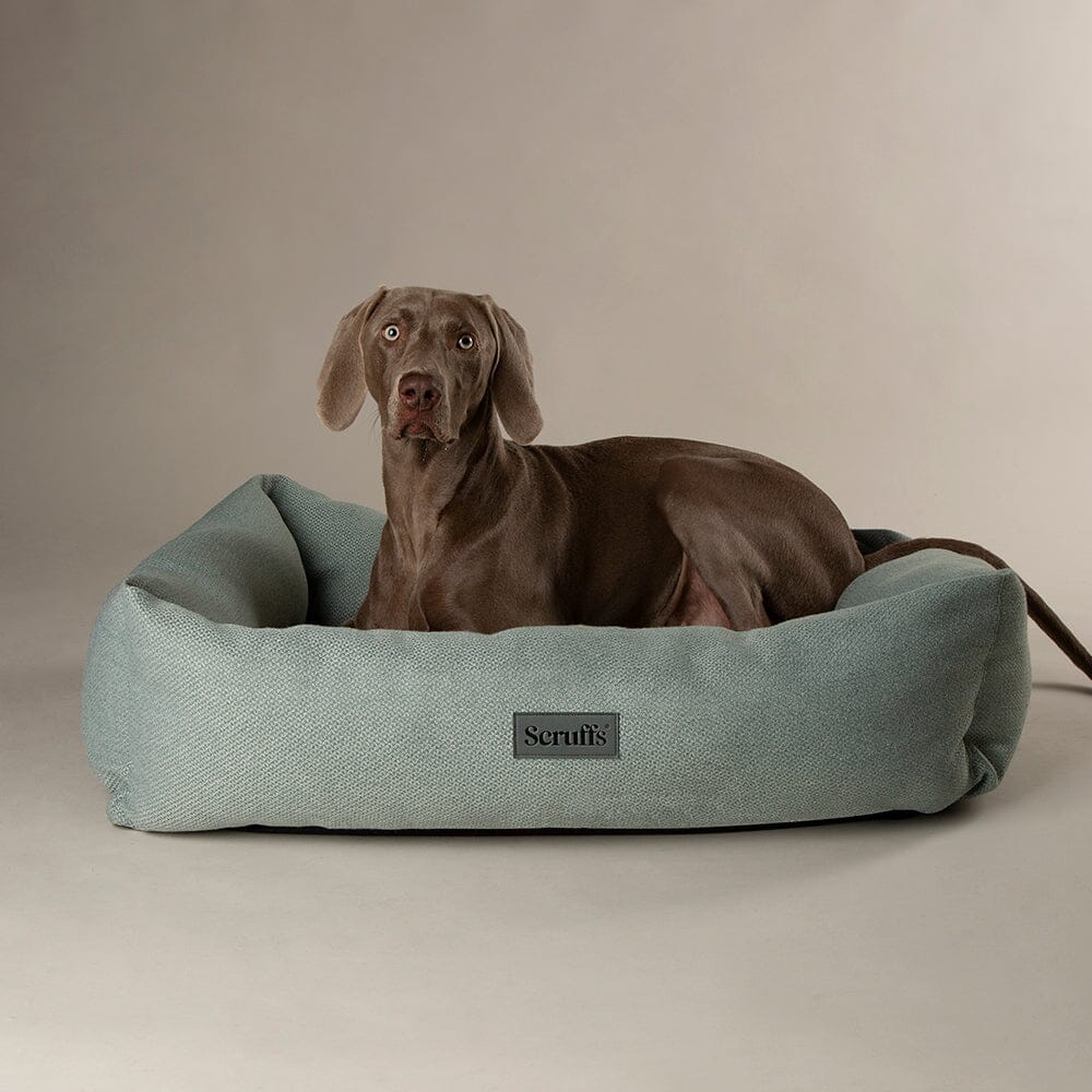 Scruffs Seattle Box Bed - Topaz Green