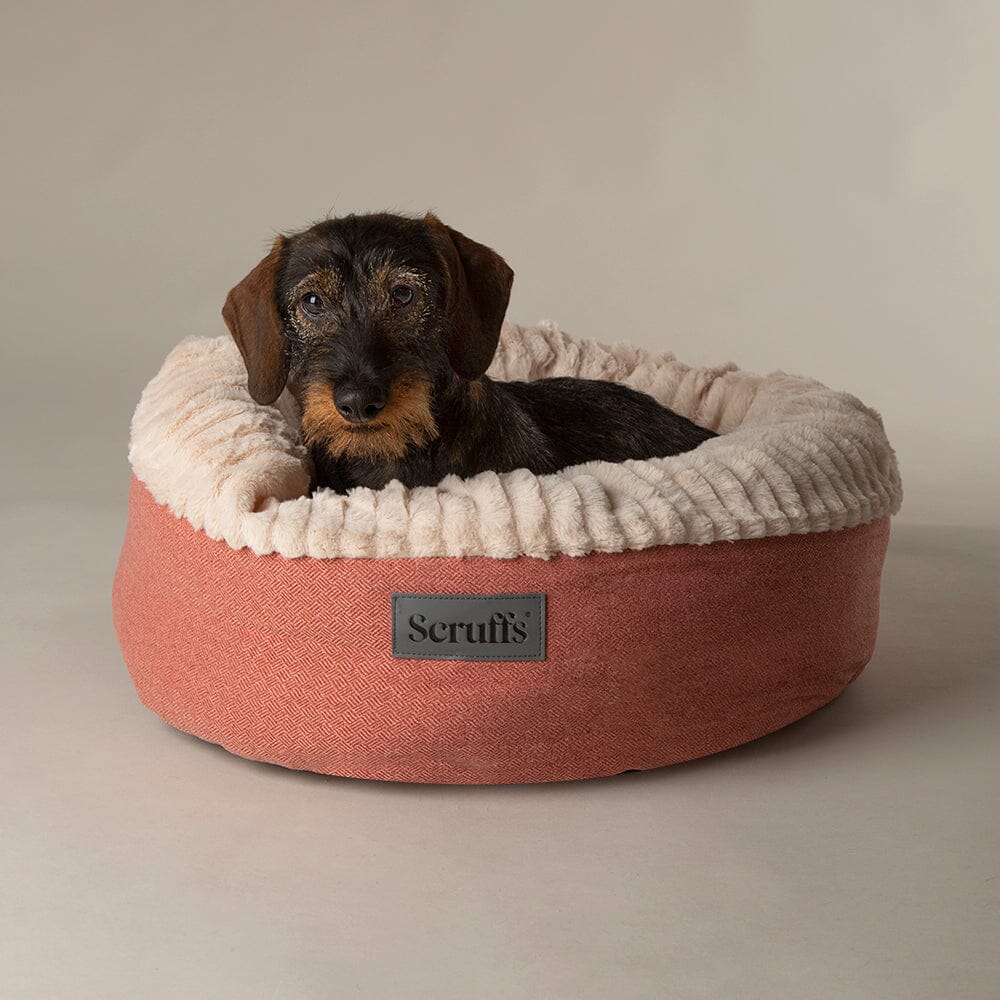 Scruffs Ellen Donut Bed - Terracotta Red