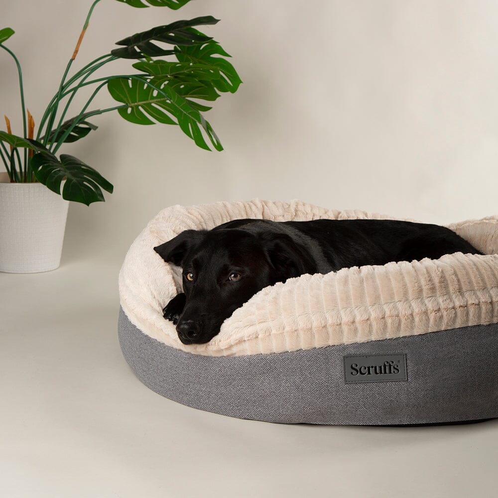 Scruffs Ellen Donut Bed - Light Grey