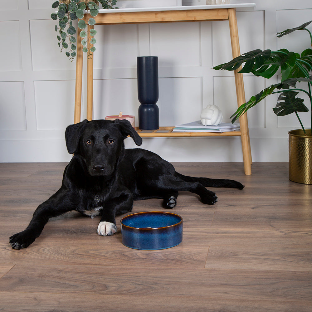 Reactive Glaze Dog Food Bowl - Midnight Blue