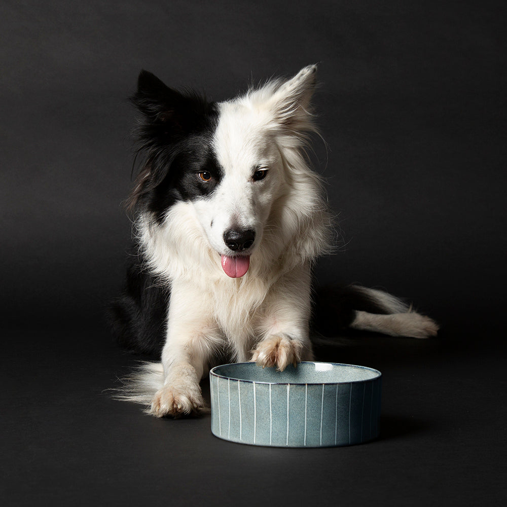 Reactive Glaze Dog Food Bowl - Pinstripe Grey