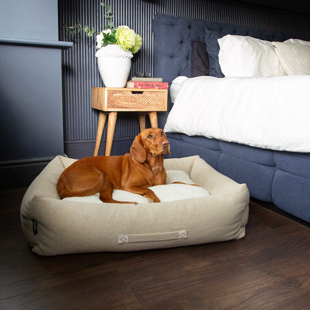 Scruffs EDEN Eco Hundebett in Anthrazit