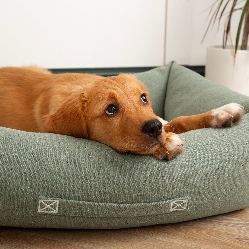 Scruffs Eden Eco-Friendly Box Bed - Green