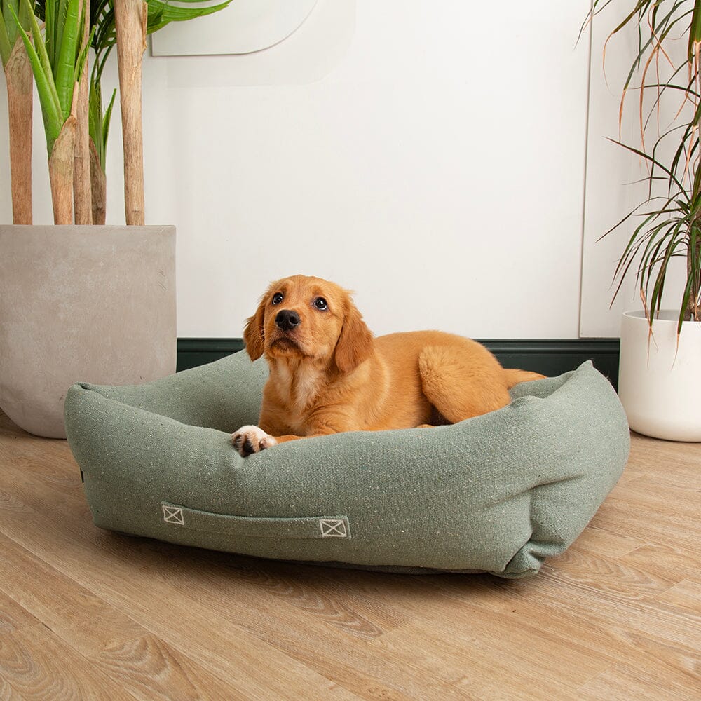 Scruffs Eden Eco-Friendly Box Bed - Sage Green