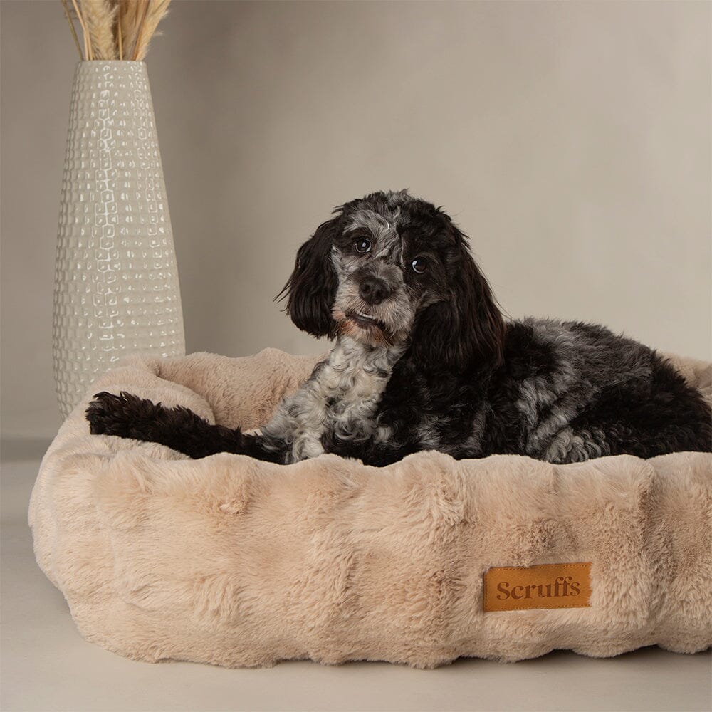 Scruffs® Alpine Box Bed - Champagne