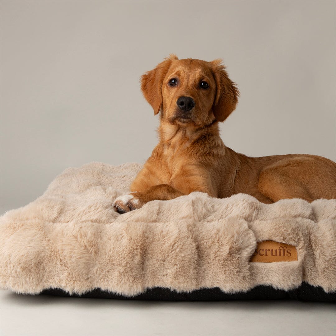 Scruffs Alpine Mattress - Champagne