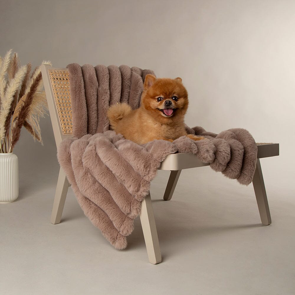 Scruffs Aspen Pet Blanket - Taupe