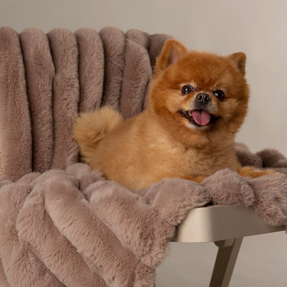 Scruffs Aspen Pet Blanket - Taupe