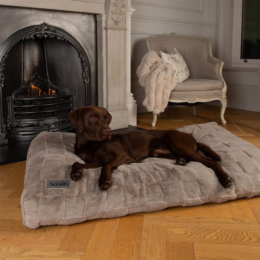 Scruffs® Oxford Orthopaedic  Mattress - Silver