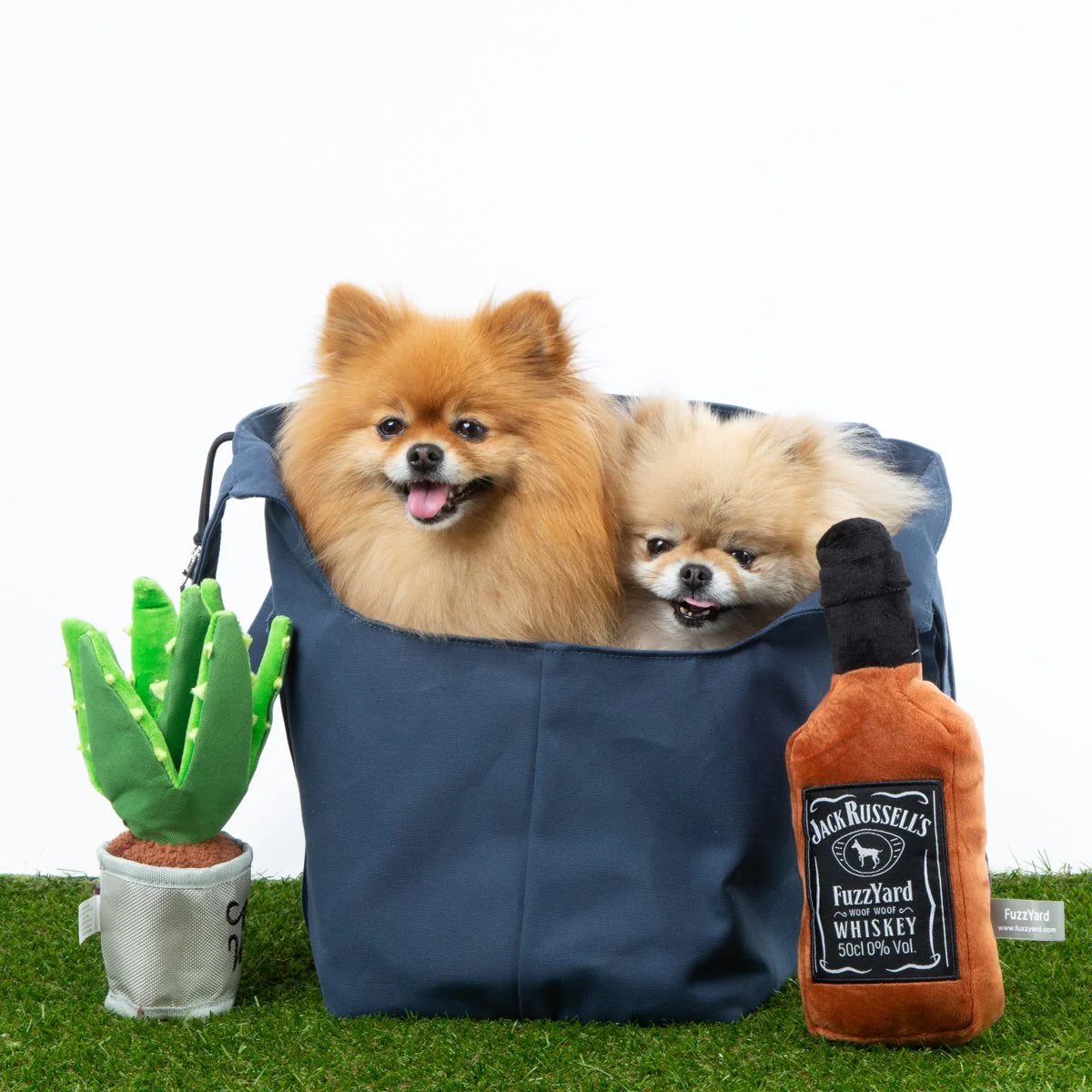 Pomeranian shop accessories shop