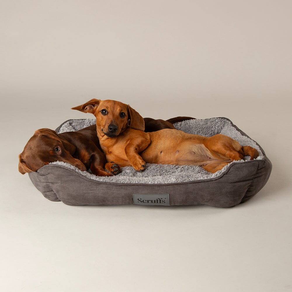 Scruffs Cosy Soft-Walled Dog Box Bed - Grey