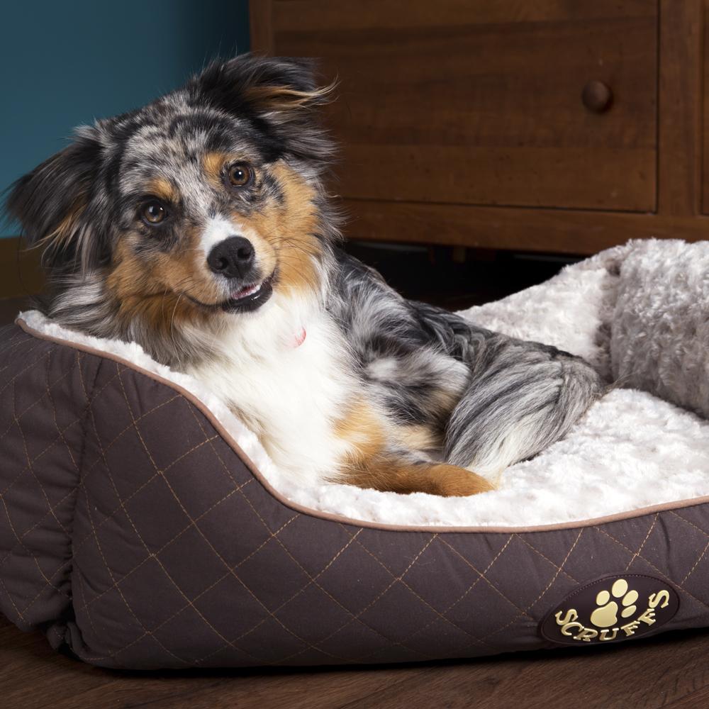 Scruffs Wilton Dog Box Bed - Brown