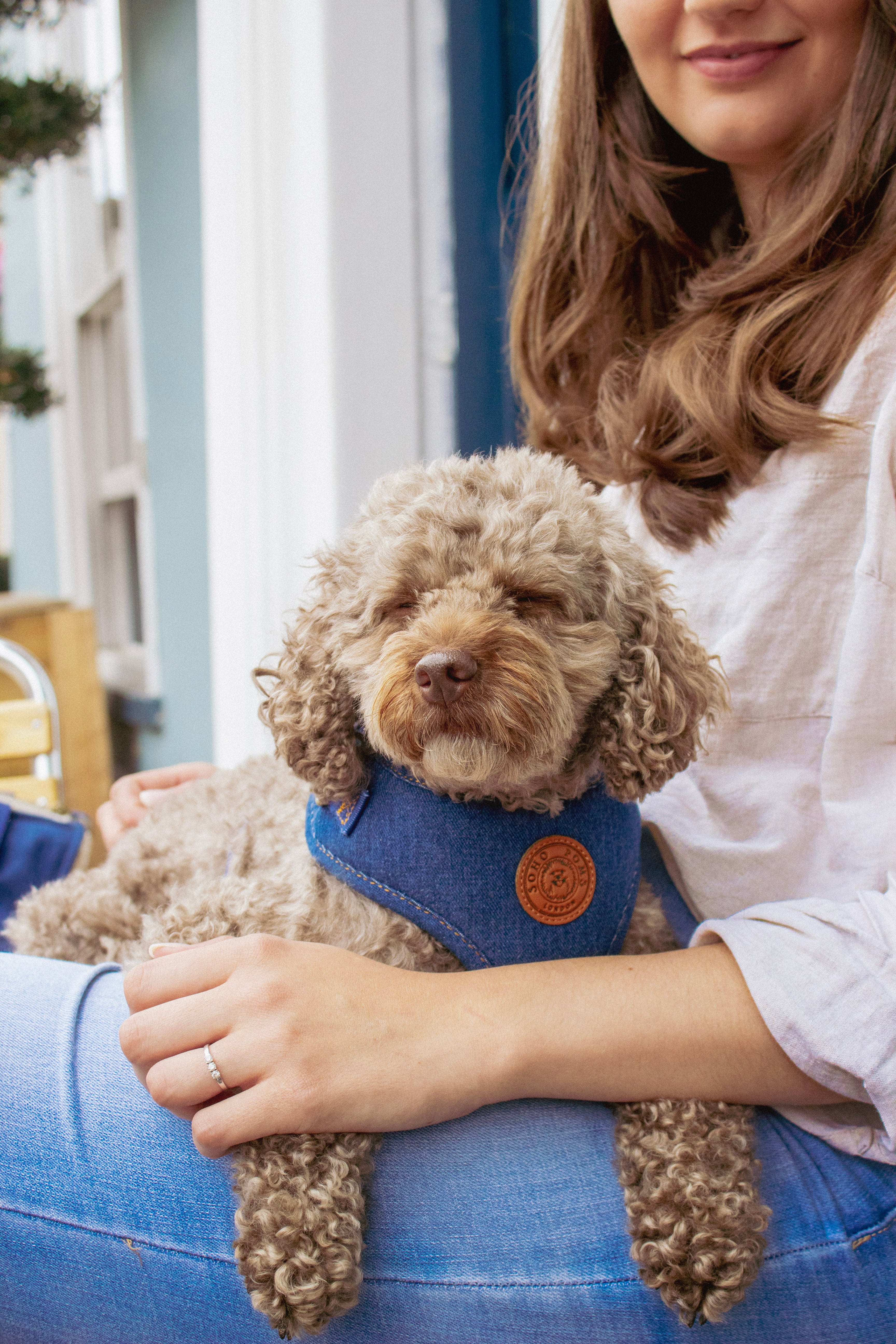 Soho Poms Frith Denim Harness - Classic Rinse