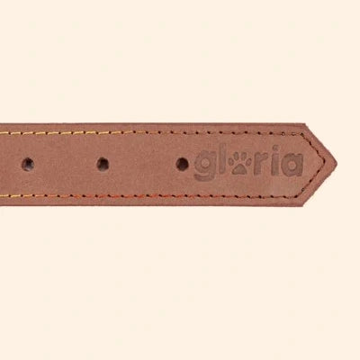 Gloria Pets Brown Nobuck Oasis Padded Collar