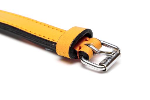 Gloria Pets Yellow Padded Collar