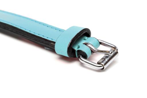 Gloria Pets Light Blue Padded Collar