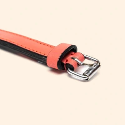 Gloria Pets Orange Padded Collar