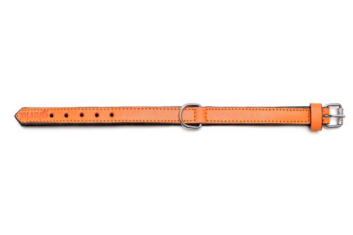 Gloria Pets Orange Padded Collar