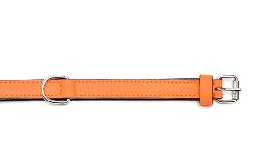 Gloria Pets Orange Padded Collar