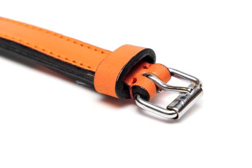 Gloria Pets Orange Padded Collar