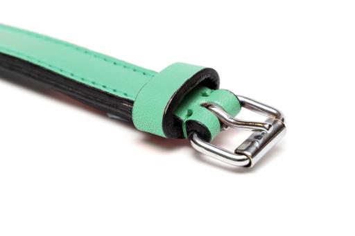 Gloria Pets Green Padded Collar