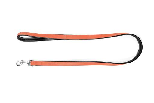 Gloria Pets Orange Padded Lead
