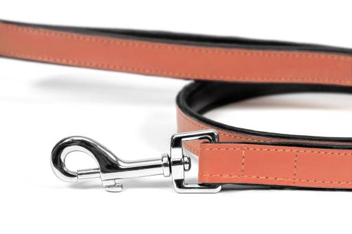 Gloria Pets Orange Padded Lead
