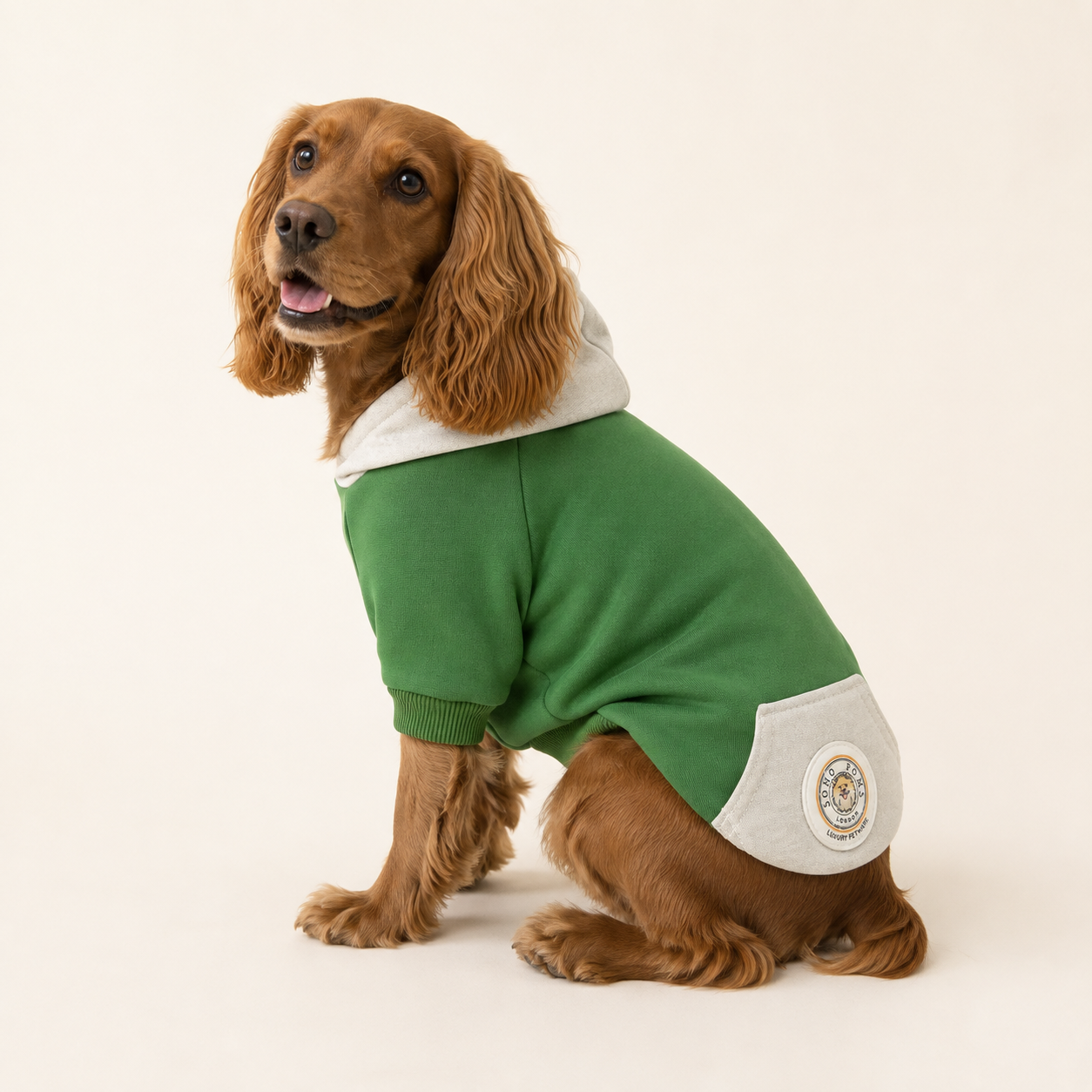 Bright Green | Dog Hoodie