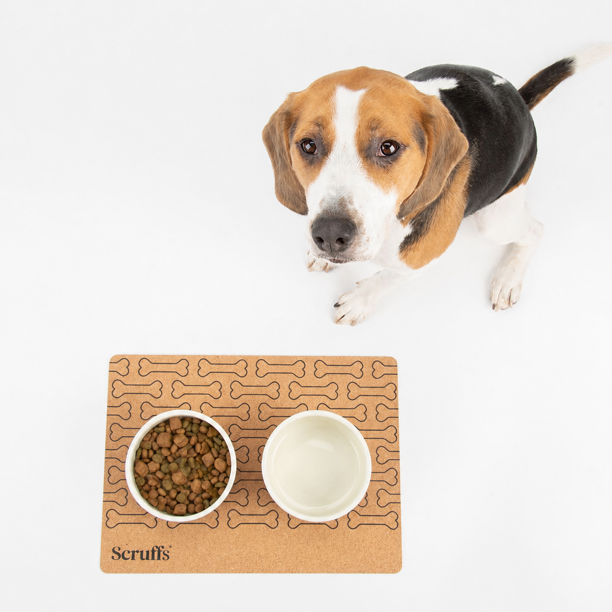 Cork Pet Placemat 40 x 30cm - Bone Print