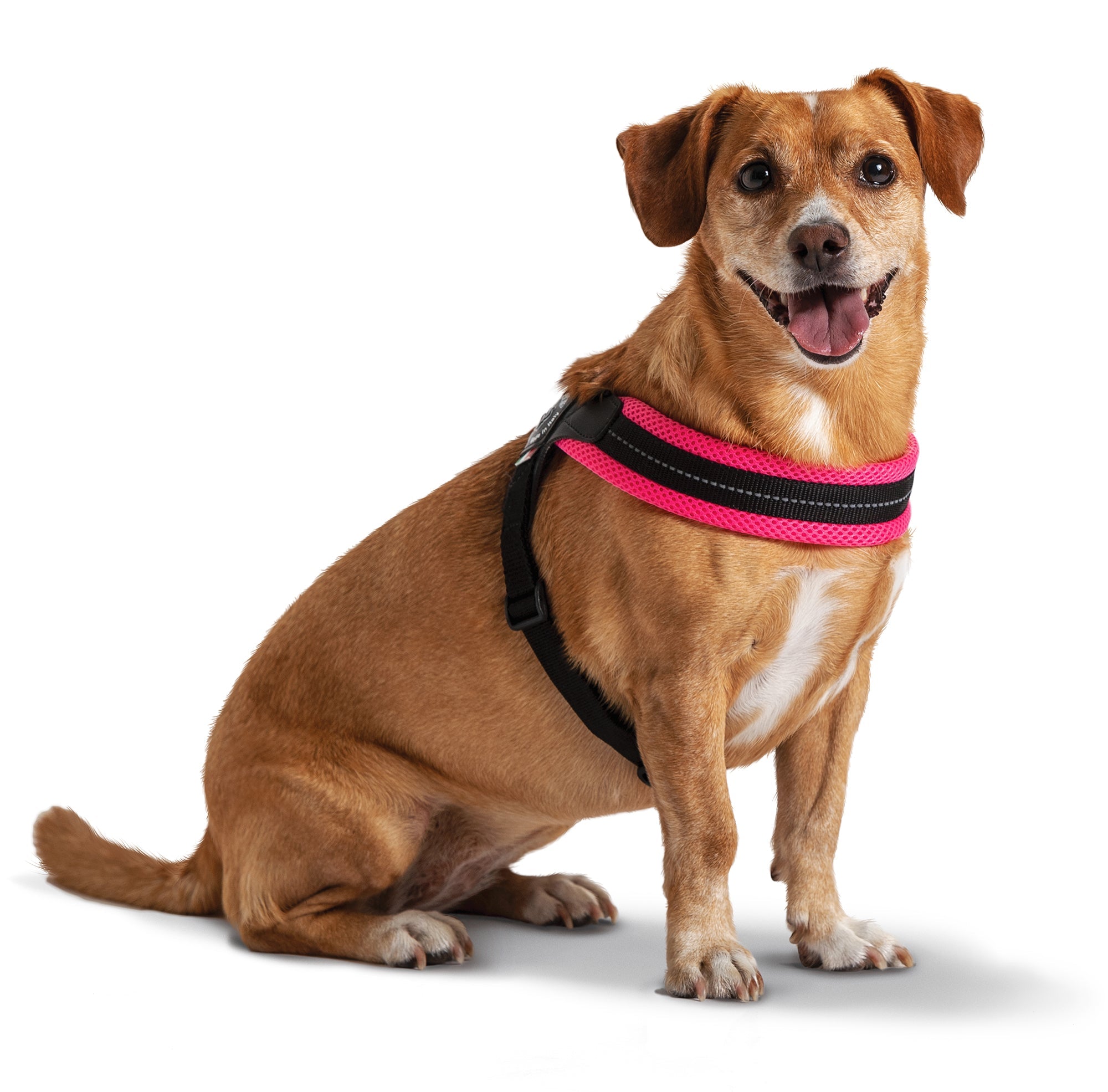Tre Ponti  Easy Fit Easy Fit Mesh Fluo Pink Harness with Adjustable Girth