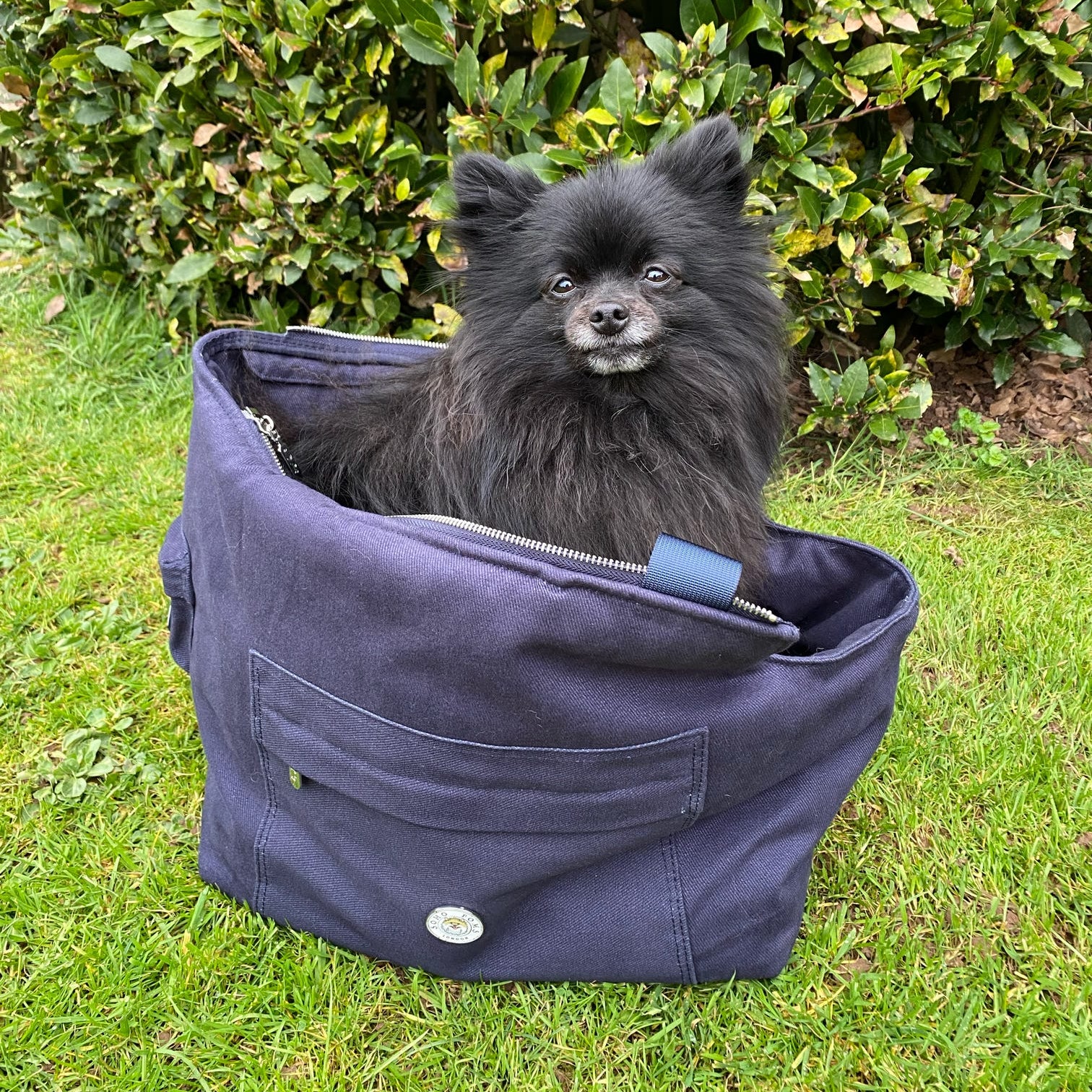 Navy | Berwick Dog Carrier