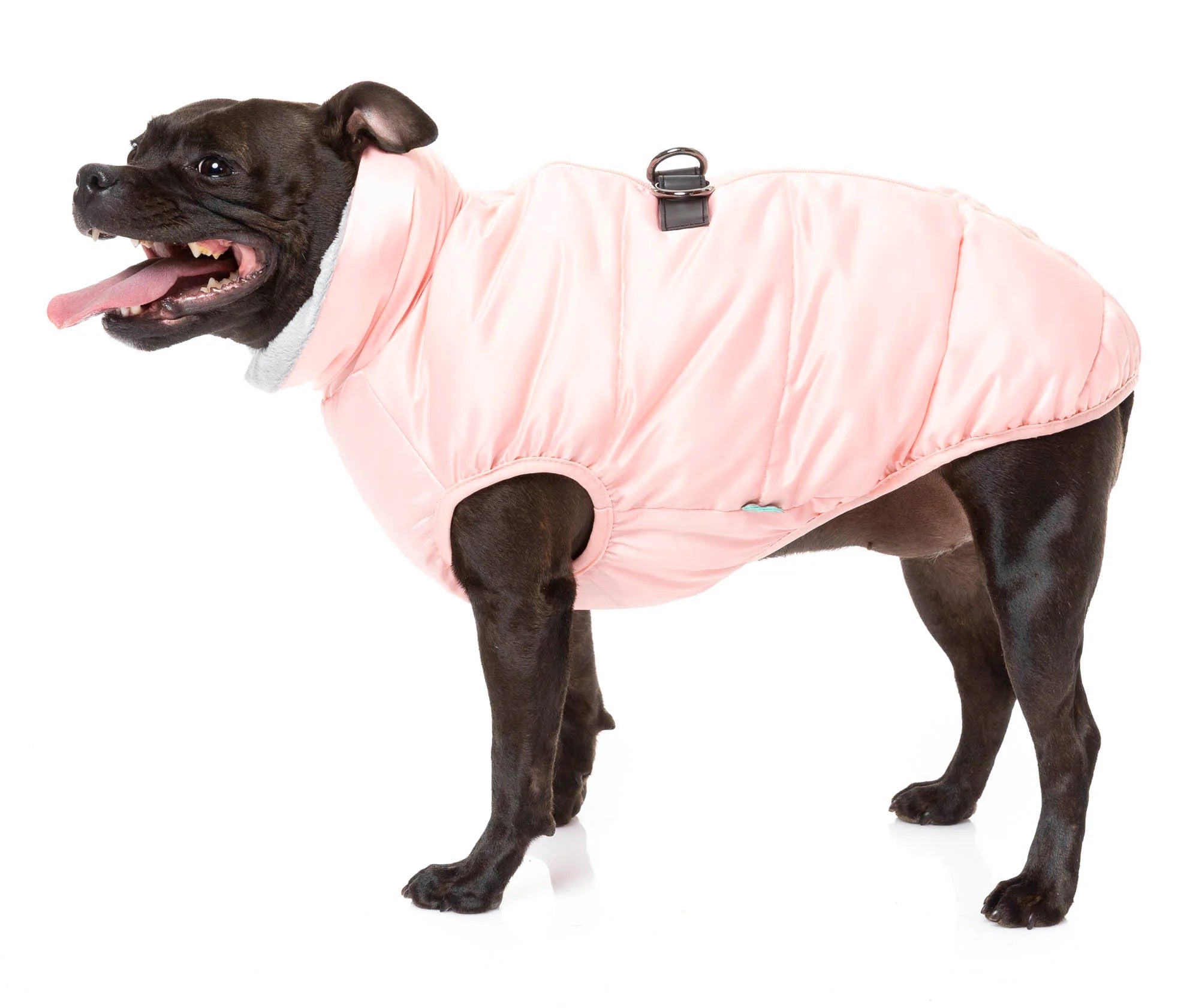 The Eastcoast Dog Harness Jacket Pink