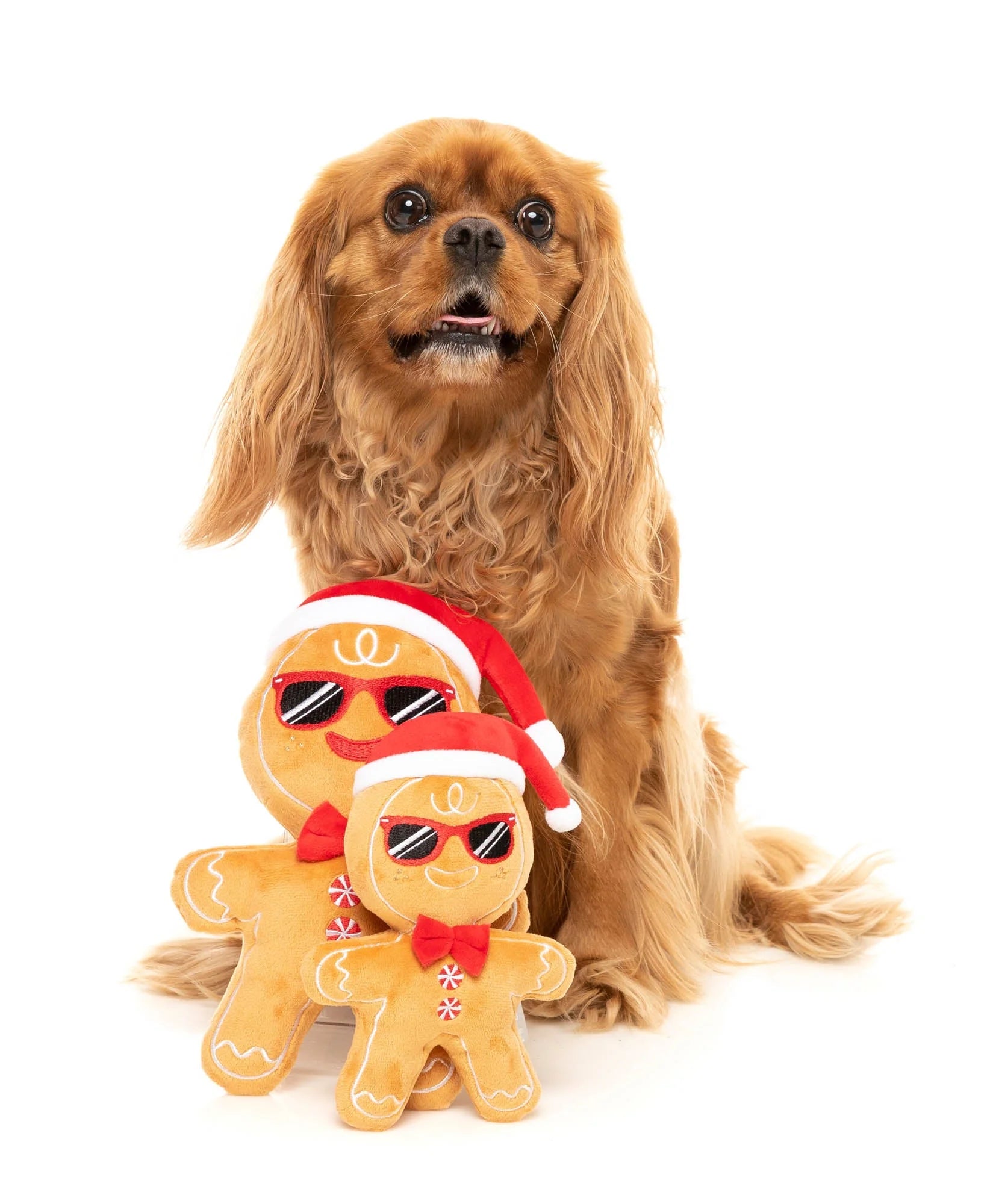 Mr Gingerbread Christmas Dog Toy