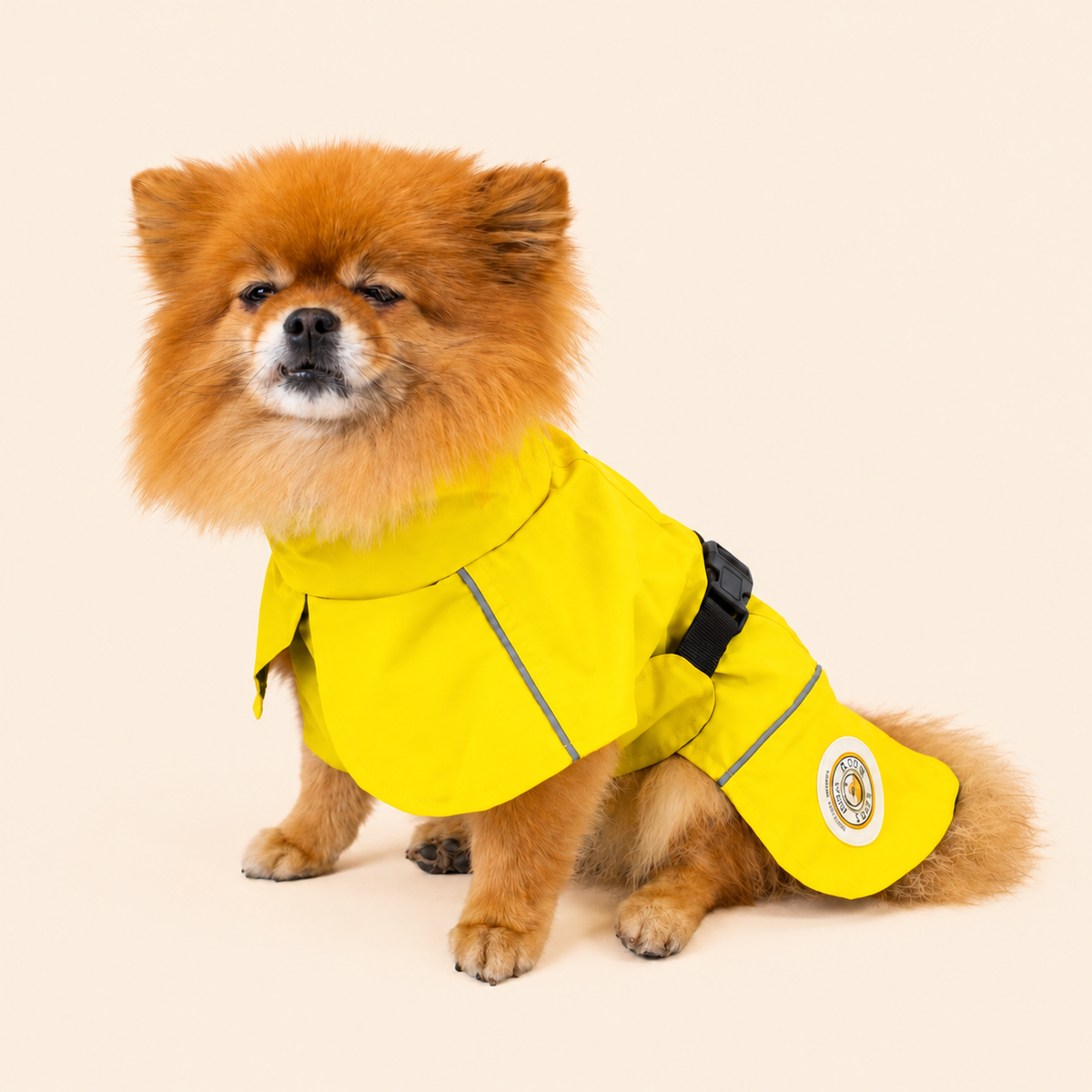 Soho Poms Waterproof Rain Jacket - Vivid Yellow