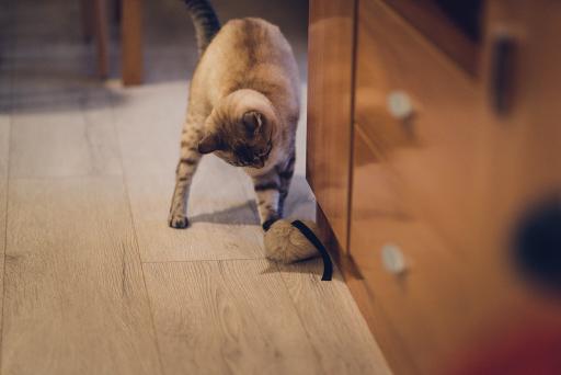 Gloria Pets Blancito Caltrava With Leather Rbit