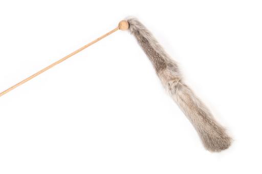 Gloria Pets Niemeyeer Palo With Worm