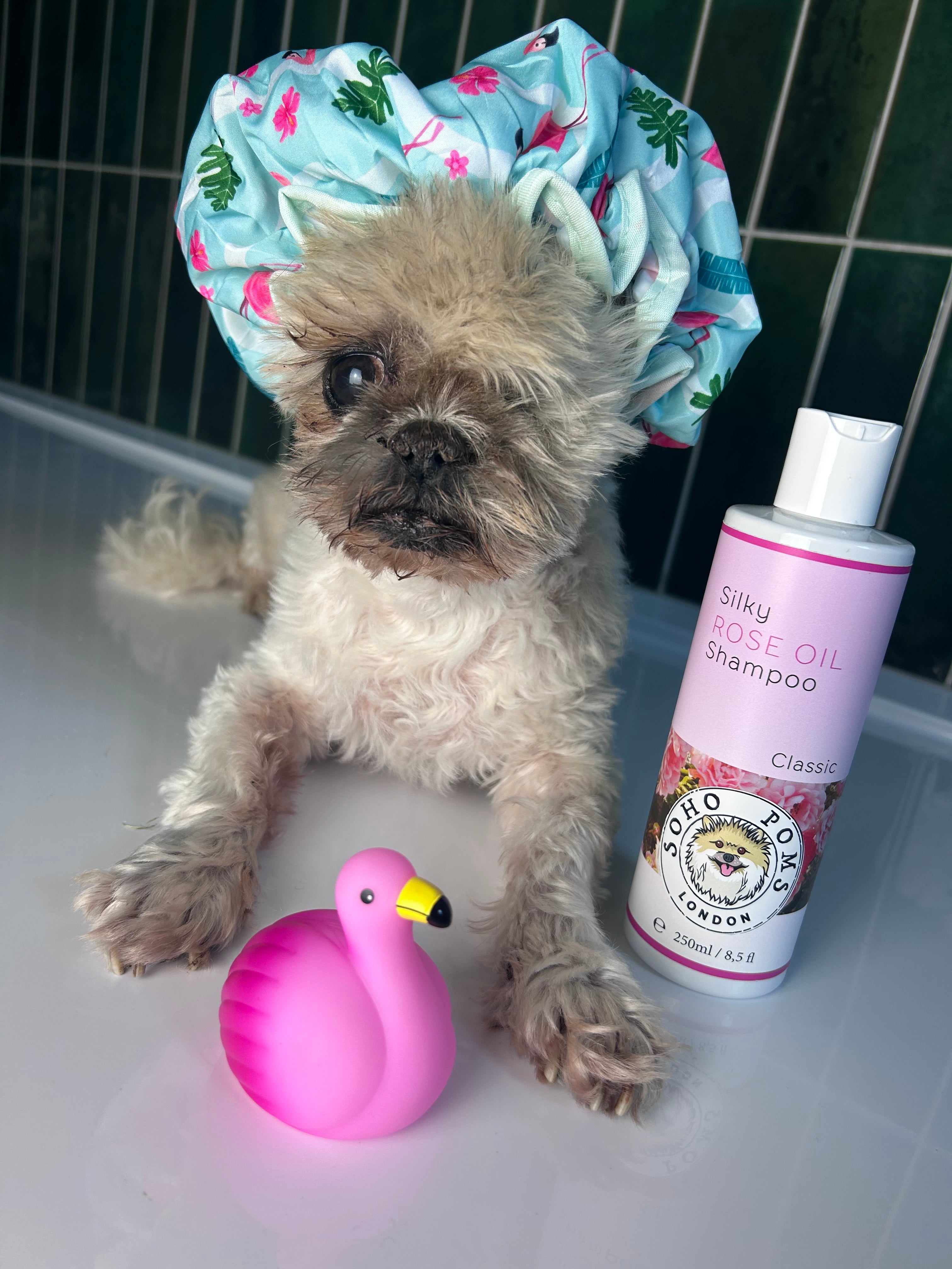SohoPoms Shampooing à l'huile de rose 250 ml Chien classique/sensible/crasseux