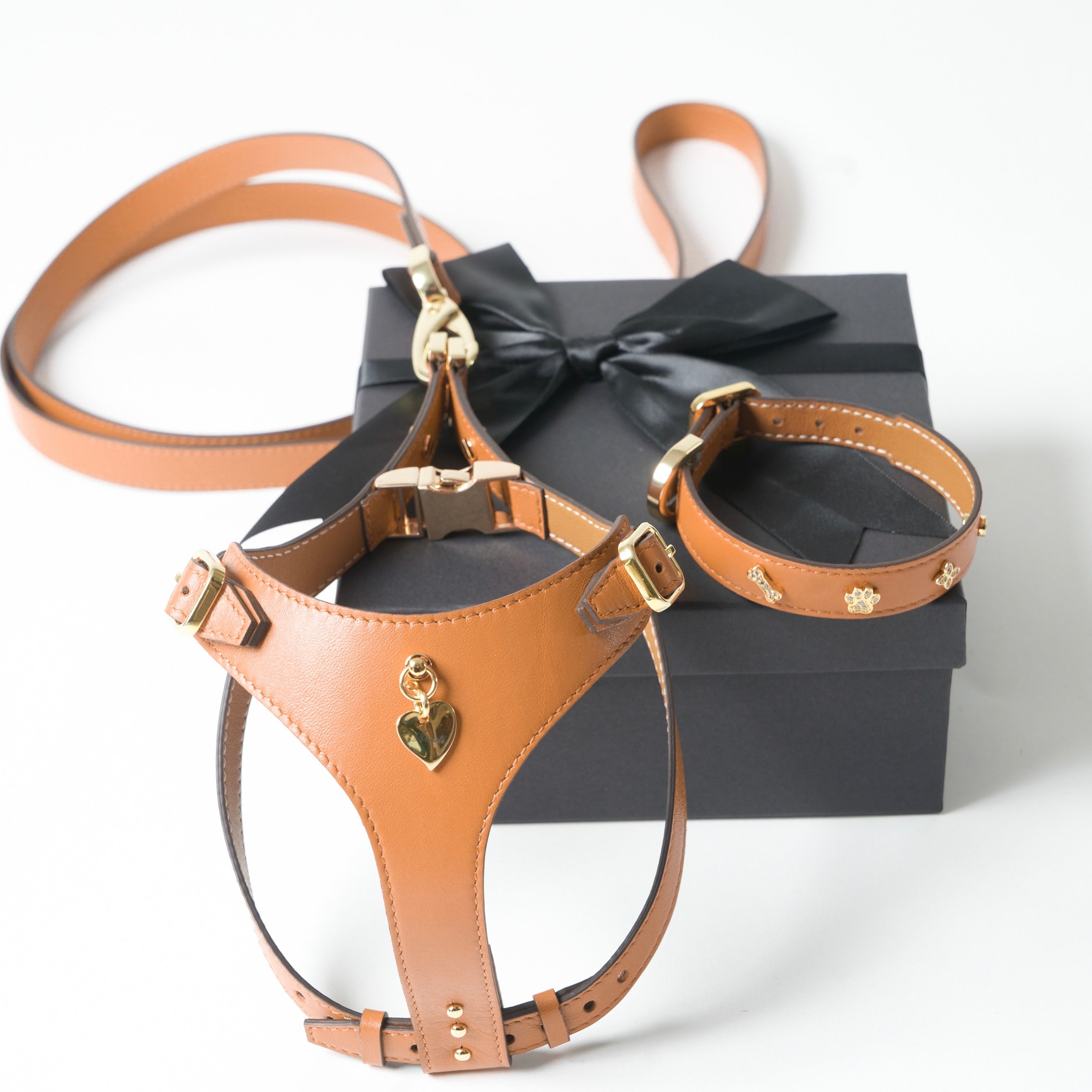 Amati Dog Harness Gift Set Beige