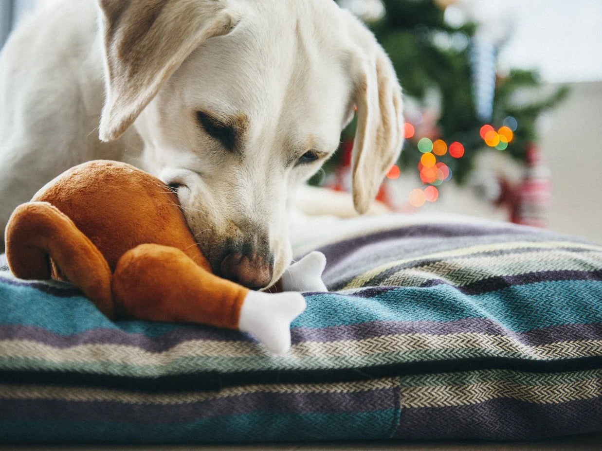 Christmas Roast Turkey Plush Dog Toy