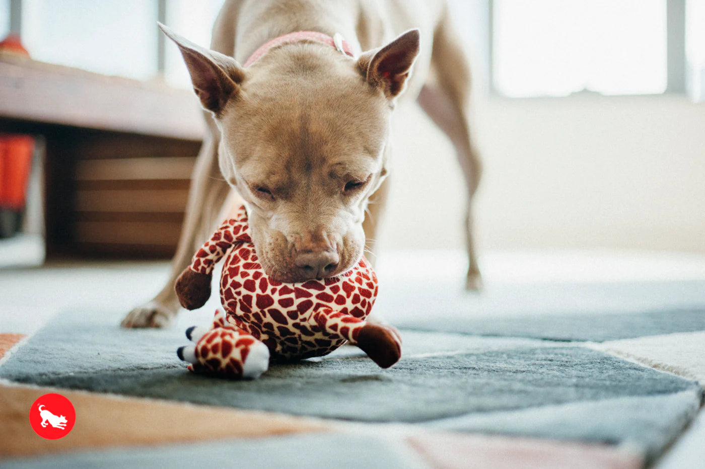 P.L.A.Y.  Giraffe Plush Dog Toy
